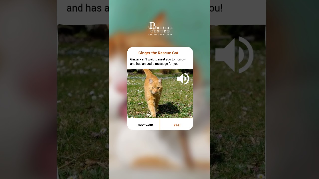 Limited-Time Offer – 30% OFF Professional Training in Dubai 