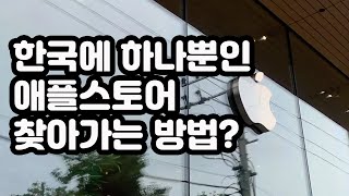 국내유일 신사동 가로수길 애플스토어 찾아가는 아주 쉬운방법?
