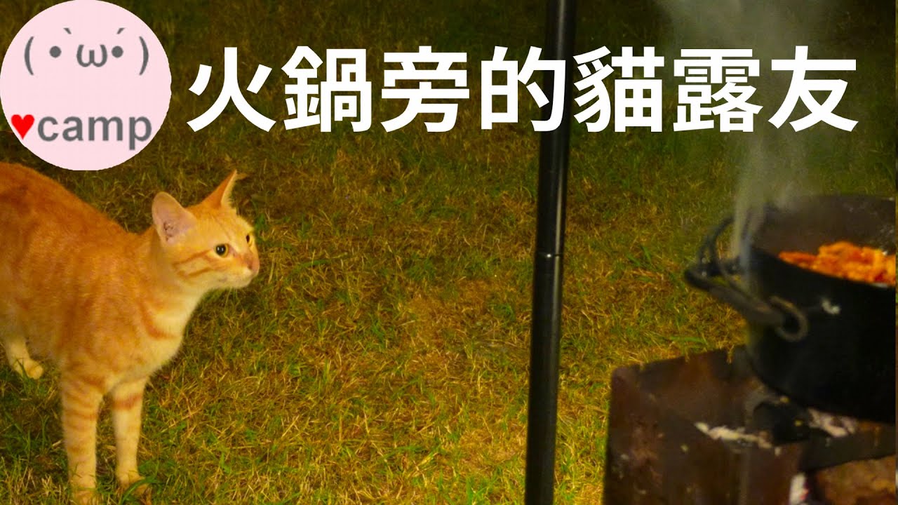 ▲機車露營[244] 麻辣火鍋貓🍲🐱不給吃生悶氣，牛角灣溪瀑布群，蟲鳴鳥叫，遠離塵囂，涼山一號棧，814生鮮。 #法蘭克黃#車床天地 #單人露營