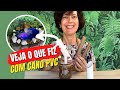 VEJA O QUE FIZ COM PEDAÇOS DE CANOS PVC, GALÃO DE ÁGUA VENCIDO E UMA VELA