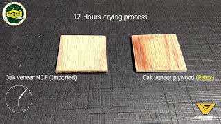 Patex Veneer Plywood Experiment | Commercial Plywood | Hardwood | Laminated chipboard | MDF