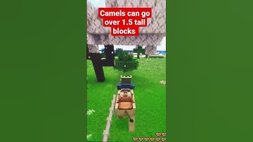 Did you know #gameplay #build #minecraft #new #command