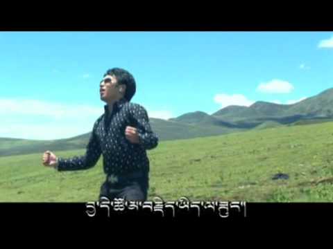 THREE BIRDS by KUNGA བྱ་གསུམ། ཀུན་དགའ།