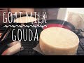 Goat Milk Gouda - Cheesemaking at Home