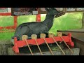 (8K)新緑の京都(2022/5/8)【大原野神社、正法寺、勝持寺、向日神社、楊谷寺】
