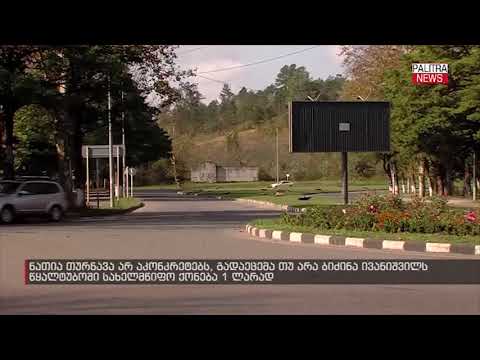 ნათია თურნავა არ აკონკრეტებს, გადაეცემა თუ არა ივანიშვილს სახელმწიფო ქონება წყალტუბოში 1 ლარად