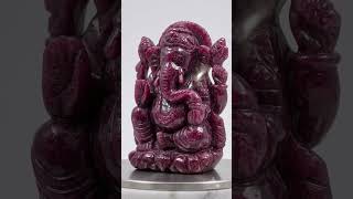 pomelli photoshoot video 9 16 0902