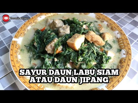 Resep Opor Ayam Campur Labu Siam - Resep Masakan Clara