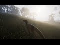Foggy Morning on Gateway - The Isle Evrima Stress Test