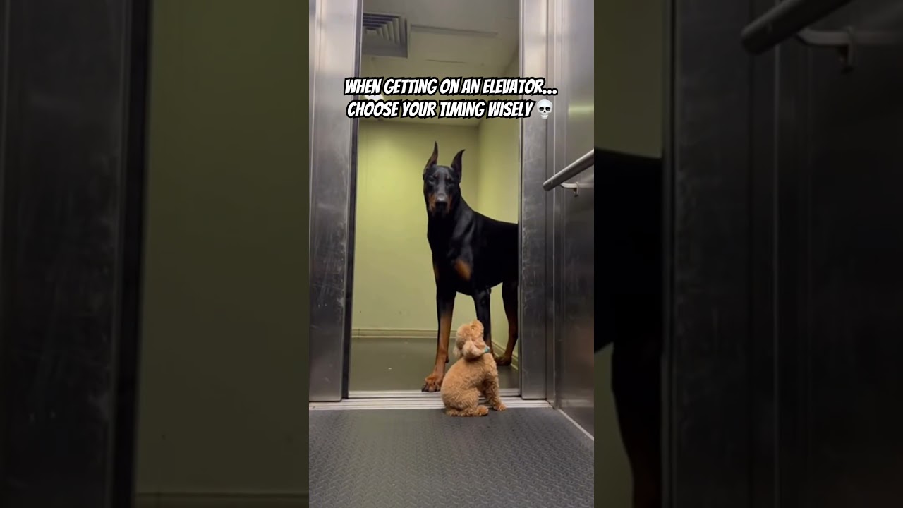 Timing Is Everything… 💀