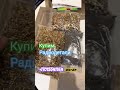 Радиодетали-примем в любом виде в Караганде Темиртау #караганда #темиртау  #карагандинскаяобласть