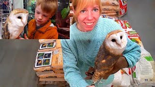 Picking up owl food, a new owl perch + owl food prices & taking Lookie with us into the pet store by Vegan Hippie 4,520 views 4 years ago 22 minutes