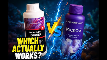 Red Sea vs Aquaforest Trace Elements Which Actually Works? | Ep.1 The Reef Report.
