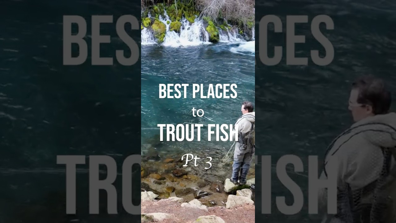 Это рай для ловли форели!! 