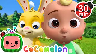 Lunch Song  | CoComelon Animal Time!  | Kids Learning Songs! | Sing Along Nursery Rhymes