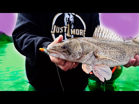 "GETTIN' STONED" - Yellowstone River Sauger fishing - 2020