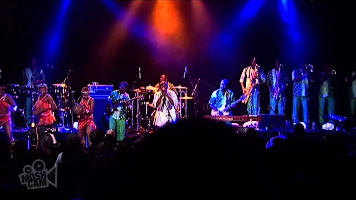 Femi Kuti - Intro/Truth Condie (Live in Sydney) | Moshcam
