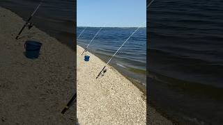 Ловля малька для хищника на реке Волга #fishing #рыбалка #живец #хищник #судак