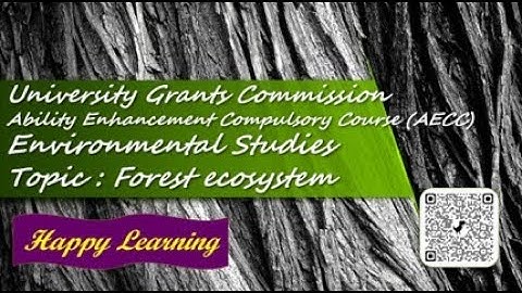 EVS Notes for all UG || Unit 2 - 3: Forest ecosystem || Happy Learning