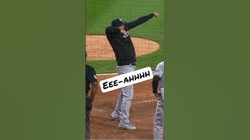 New York Yankees manager Aaron Boone goes nuts on umpire 😂 #shorts #mlb #highlights #umpire