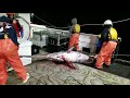 Longline Commercial Fishing Boat: Catching Swordfish