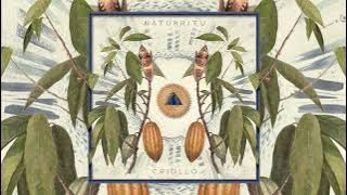 N Λ T U R R I T U  - CRIOLLO (Organic Downtempo / Folktronica / Chillout Mix)