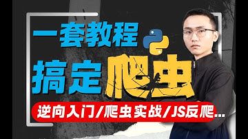 【搞定爬虫】一套轻松攻克爬虫逆向的神级教程！！建议收藏反复观看学习，含Python爬虫/逆向入门/爬虫实战/JS反爬/数据加解密/APP逆向/混淆/算法还