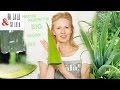 Aloe Vera Gel * Die beste Hautpflege selber machen * Anti-Aging Naturkosmetik * DIY