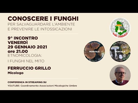 Etnomicologia: i funghi nel mito, con Ferruccio Grillo