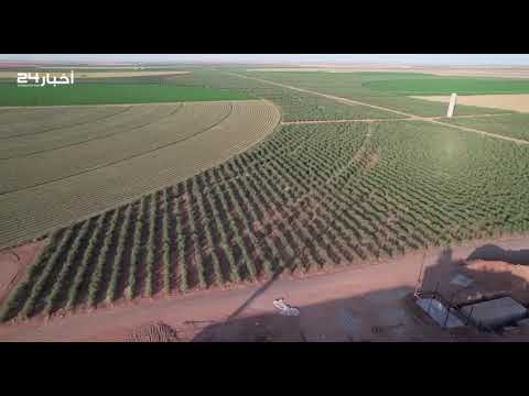 مواطن يستغني عن وظيفته ويحقق حلمه بمشروع المليون شجرة في الجوف