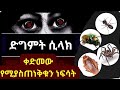 ድግምት መተት መላኩን የሚነግሩን 7 ነፍሳት እንዴት ይለያሉ ትርጉማቸው መፍትሄውስ ድግምት መተት መላኩን የሚነግሩን 7 ነፍሳት እንዴት ይለያሉ ትርጉማቸው መፍትሄውስ