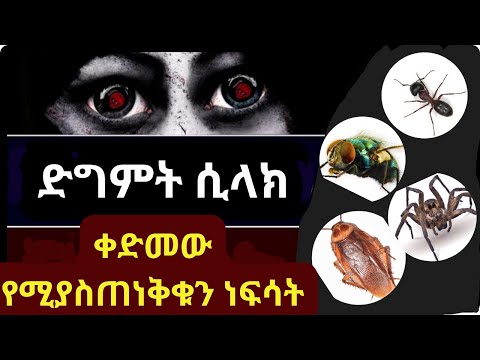 ድግምት መተት መላኩን የሚነግሩን 7 ነፍሳት እንዴት ይለያሉ ትርጉማቸው መፍትሄውስ