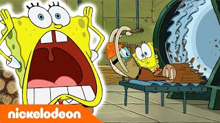 SpongeBob | LA MIA GAMBA | Nickelodeon Italia