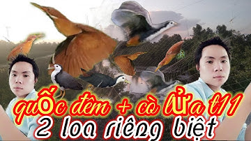 Tiếng quốc + cò lửa t11 chuẩn mp3 ( 2 loa riêng biệt)