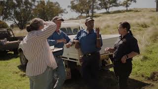 Regent Honey Eater Case Study