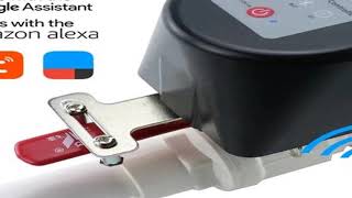 REVIEW 1/2" 3/4" 1" Tuya Zigbee Smart Gas Valve Garden Water Shut Off Timer Irrigation Controller wi