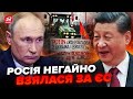 Путін перейшов в атаку: Москва та Пекін працюють по ЄВРОПІ / Угорщина, Польща під УДАРОМ