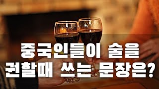 중국인들이 술을 권할때 쓰는 문장 1탄 상세 해석 및 낭독 #중국어회화 #생활중국어 #독학중국어