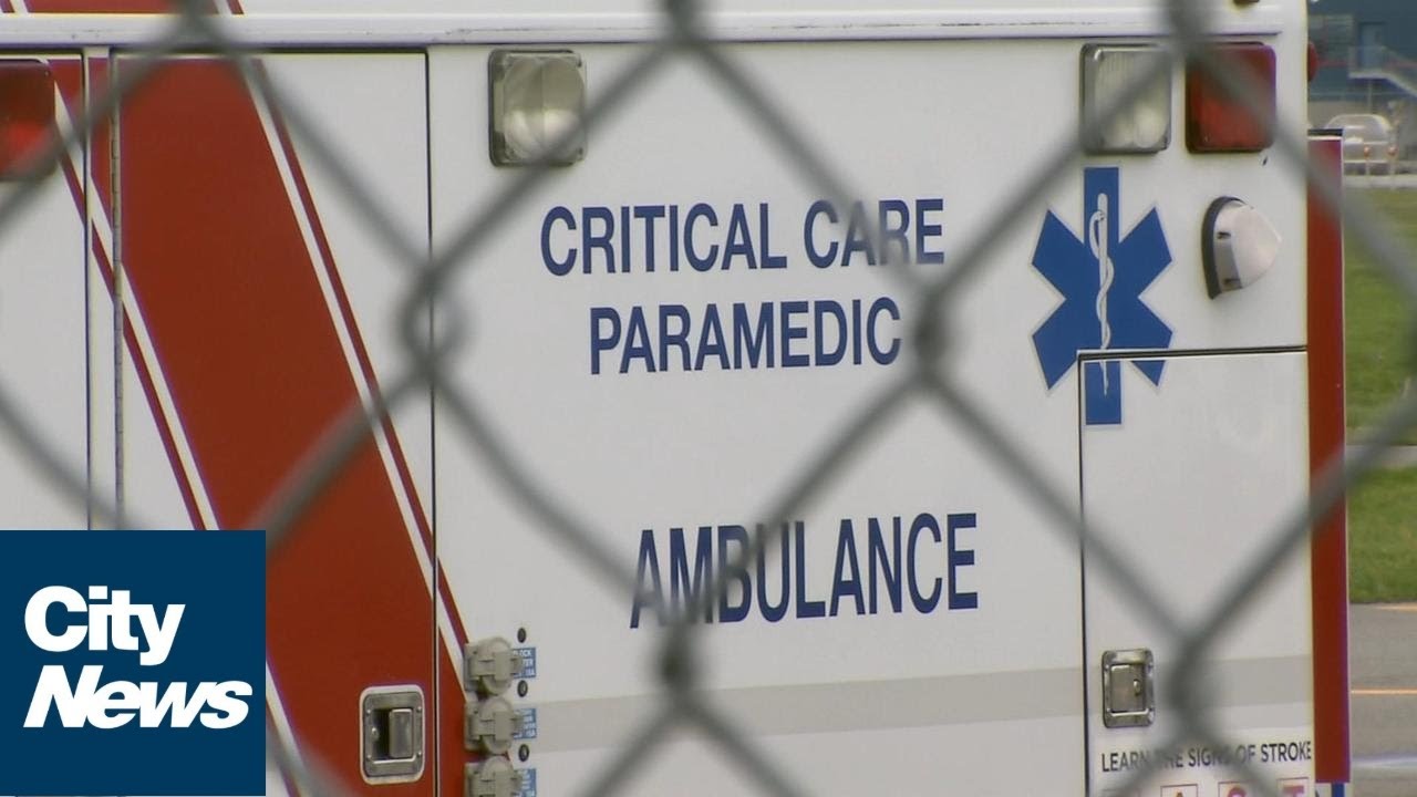 Heatwave death toll continues to rise