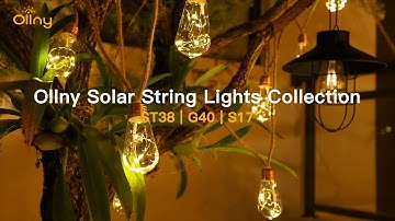NEW | Ollny Solar String Lights Collection - ST38 | G40 | S17
