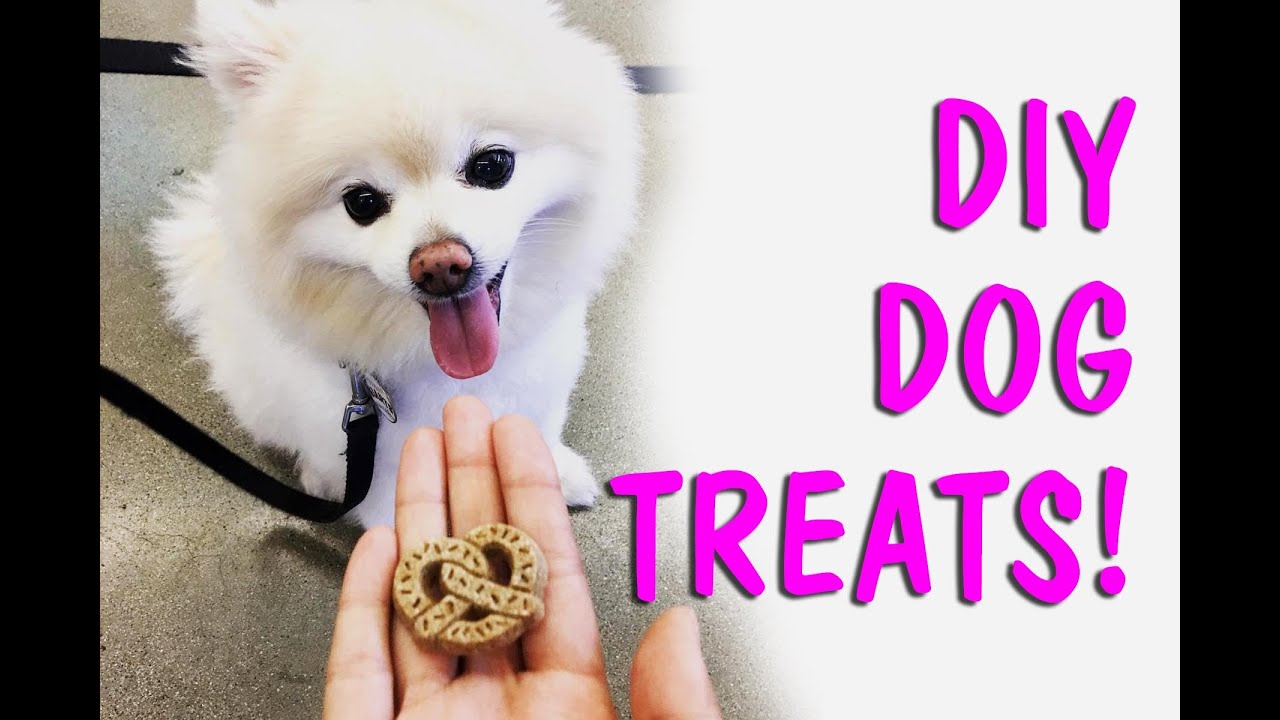 DIY DOG TREATS! YouTube