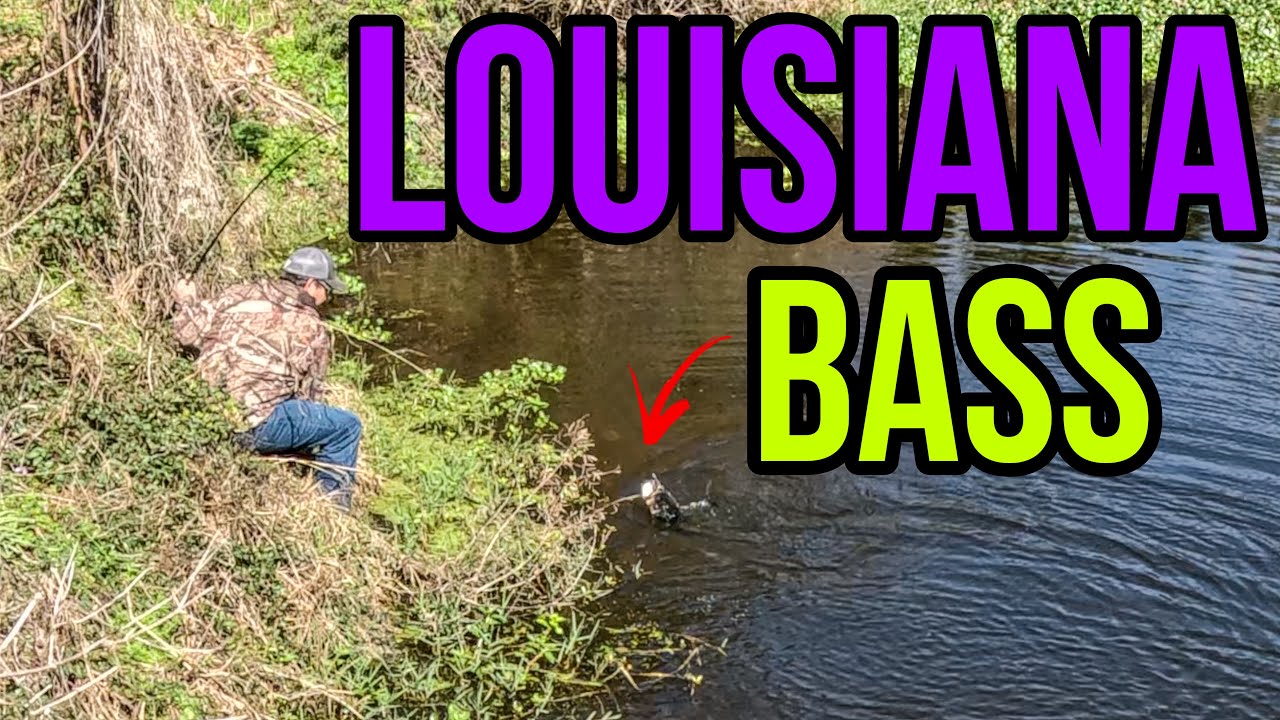 Springtime Bass Fishing in Louisiana | Big Bites & Beautiful Scenery