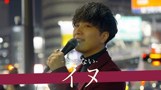 Download lagu 【歌詞付】非の付け所が見当たらないパーフェクトボイスシンガー イヌ / きゃない【新宿路上ライブ-22.12.9】by 高橋一輝