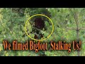 We filmed the Bigfoot Stalking Us.