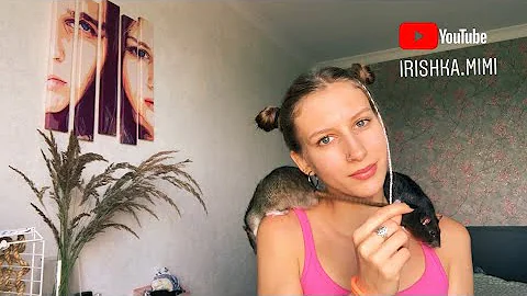 Неприятный запах от крыс - причины 🐀