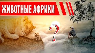 Изучаем звуки и голоса диких животных Африки | Как говорят животные - развивающее видео для детей Изучаем звуки и голоса диких животных Африки | Как говорят животные - развивающее видео для детей