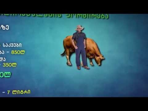 აგრო რჩევები | რძის პროდუქტების სარგებელი