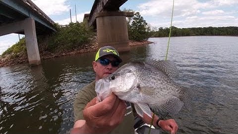 Vertical jigging for post spawn crappie . How to locate crappie around brush on Kerr Lake