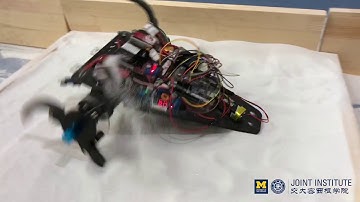 Transformable Wheel Vehicle