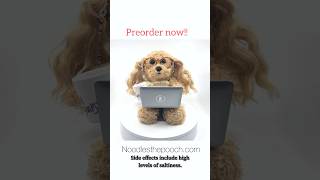The noodles work bestie plush doll and corporate canine accessories kit is available for preorder!
